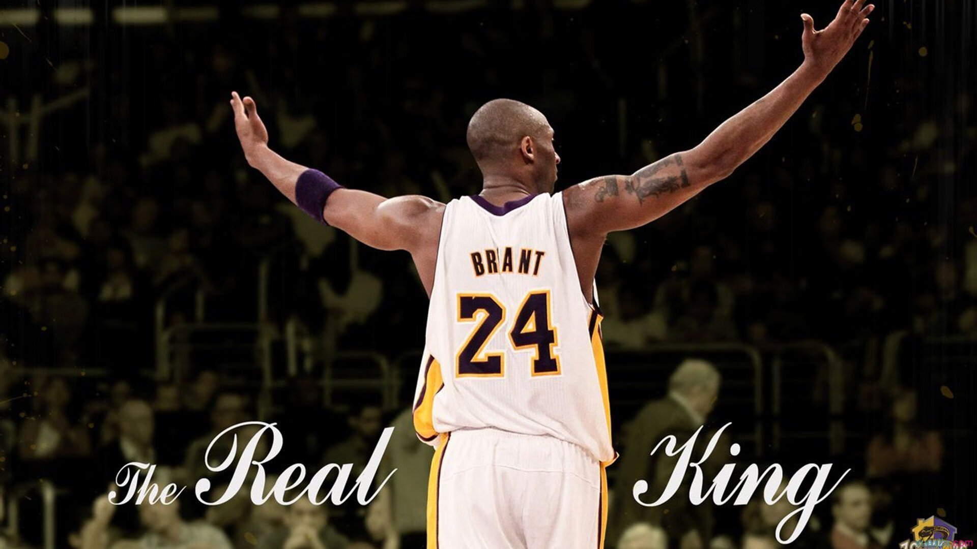 _湖人积极调整，迎来反弹时代_，湖人宣布